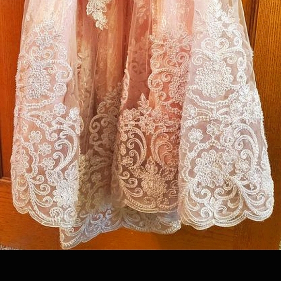 iNtrigue by Blush Pink size 6 Elegant Gown - Picture 6 of 12